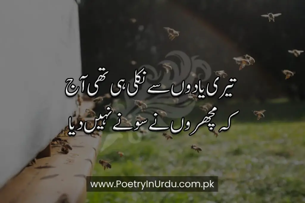 Funny Poetry in Urdu text
