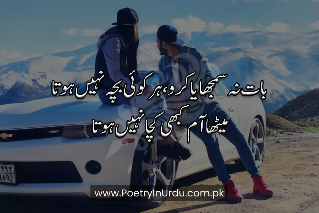Funny Poetry in Urdu for Friends